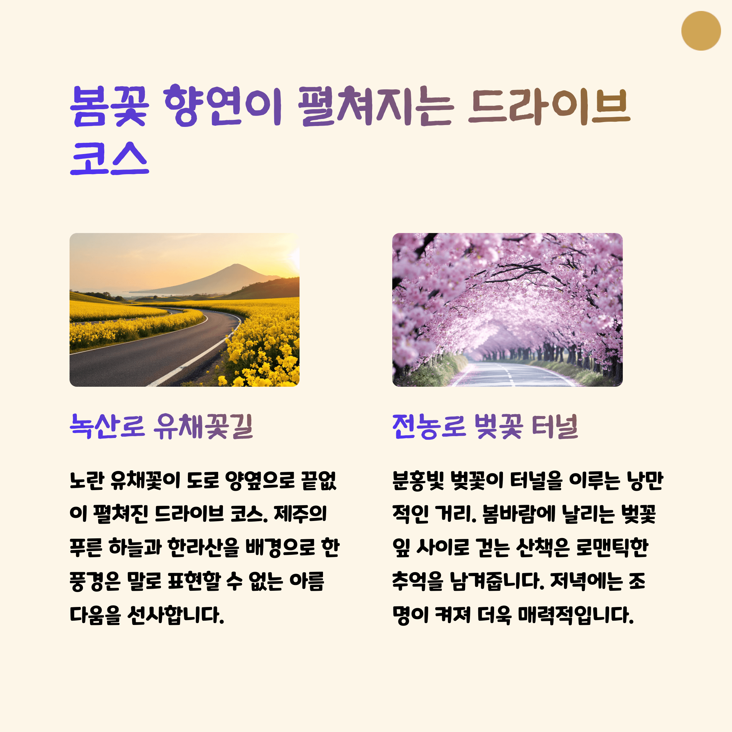 제주 녹산로 전논로 드라이브 코스