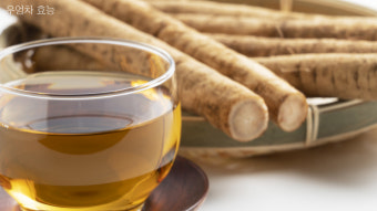 12월 제철음식 우엉