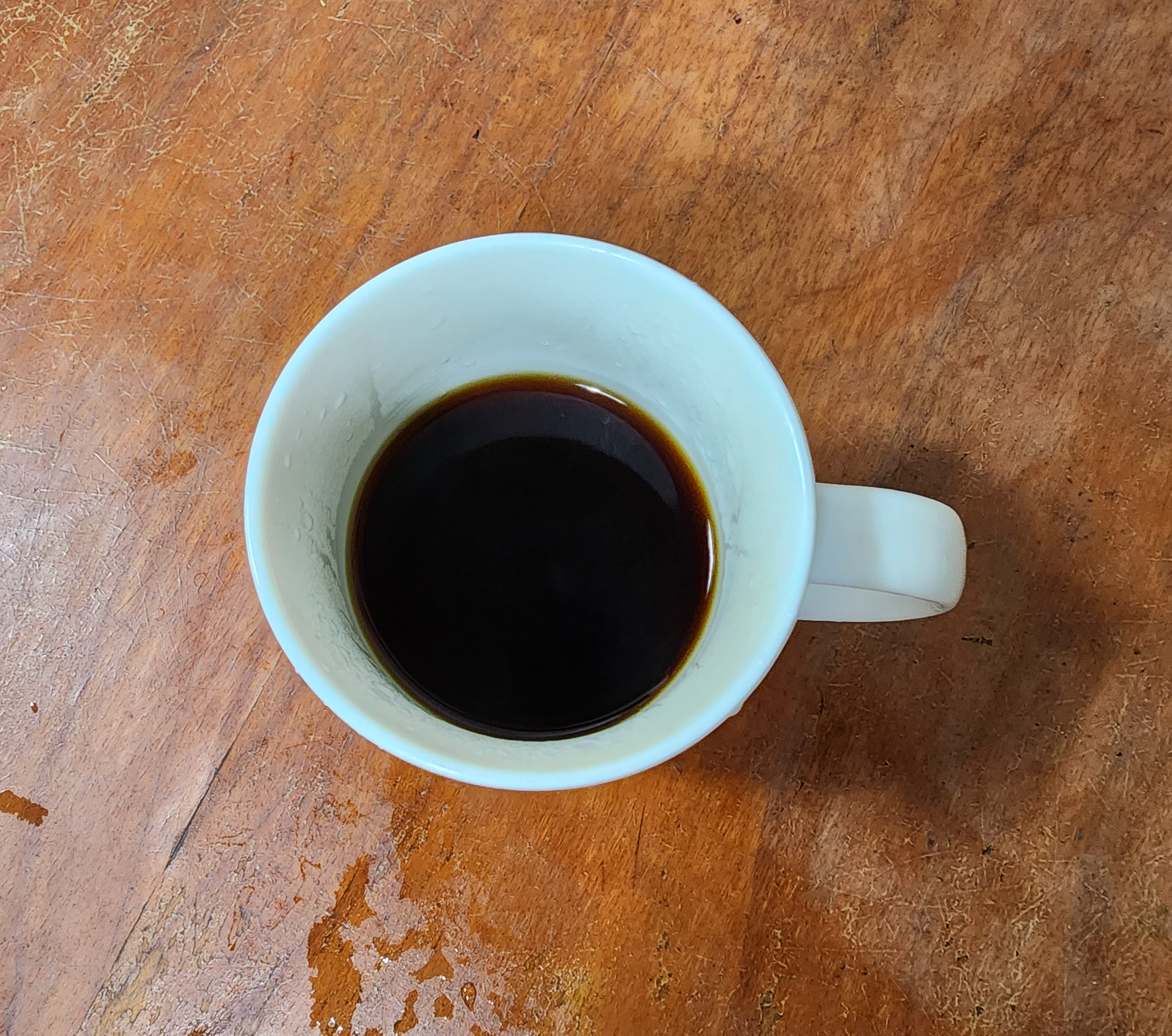 프로스터드립백