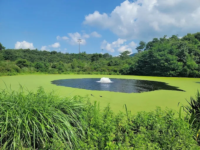 충북 충주시 '동촌 CC' 골프장 소개 및 예약방법