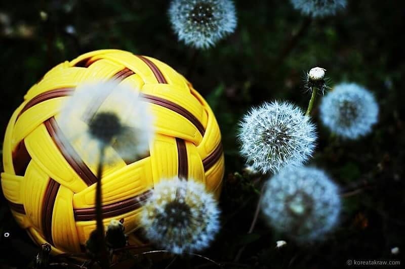 세팍타크로교수학습지도안