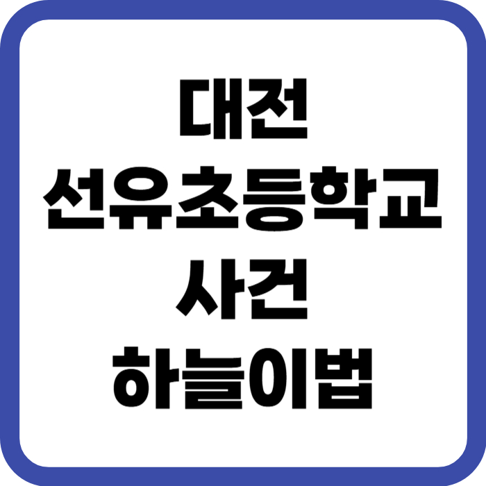 대전 선유초등학교 사건 하늘이법