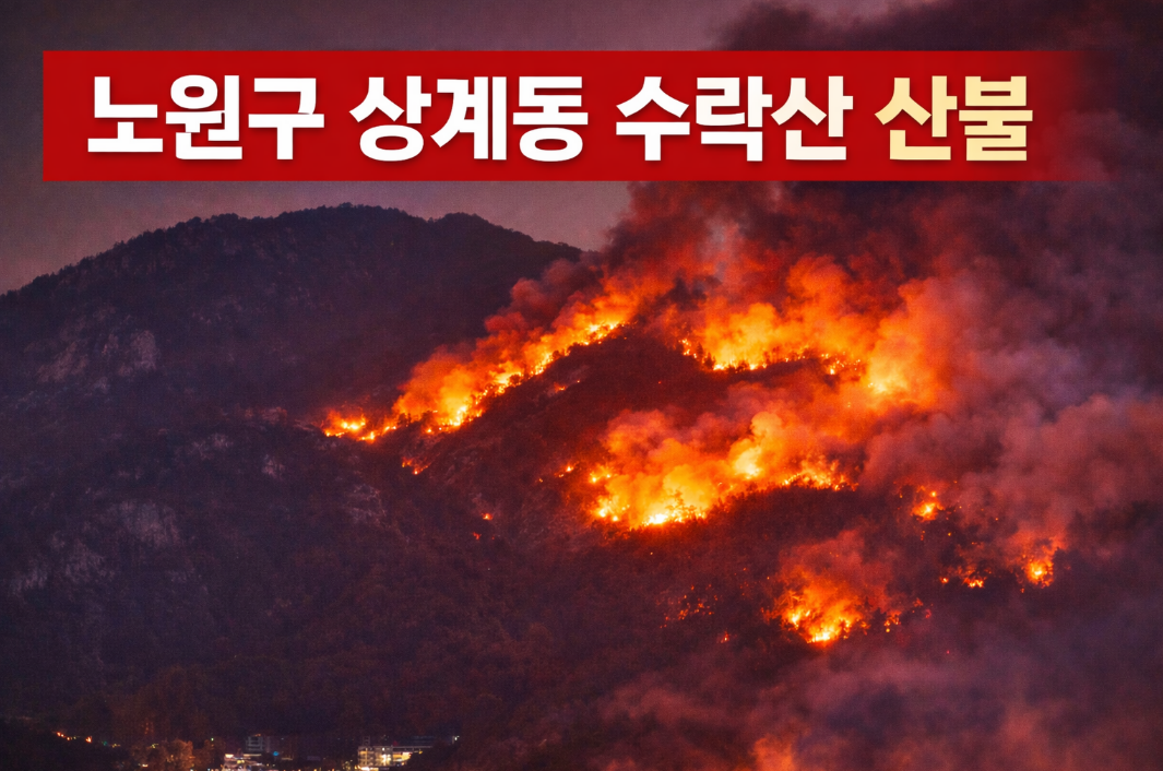 노원구 상계동 수락산 산불 발생