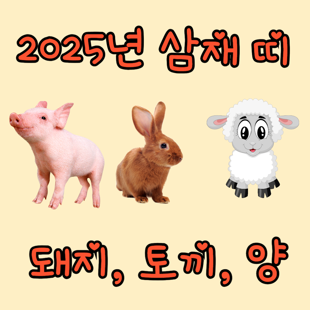 2025년 삼재