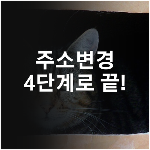 내곁에 국민연금 주소 변경 4단계 절..