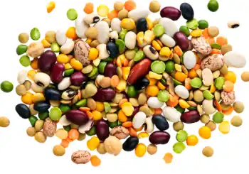 글루타치온이 많이 들어있는 음식 BEST 10