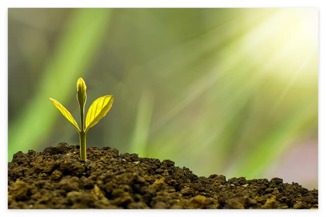연금저축계좌 개설 종류 세액공제 및 ETF투자