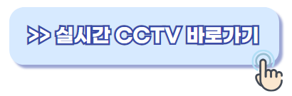 교통상황 실시간 cctv