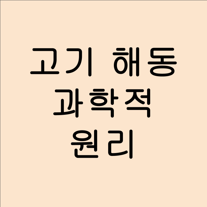 고기 해동 방법과 과학적 원리