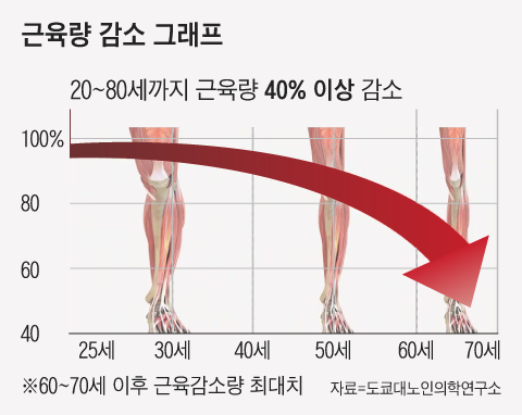근육감소