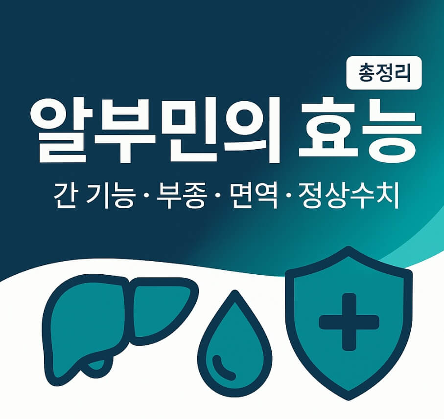 알부민의 효능