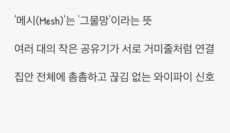 그물망처럼 촘촘하게, 메시의 등장