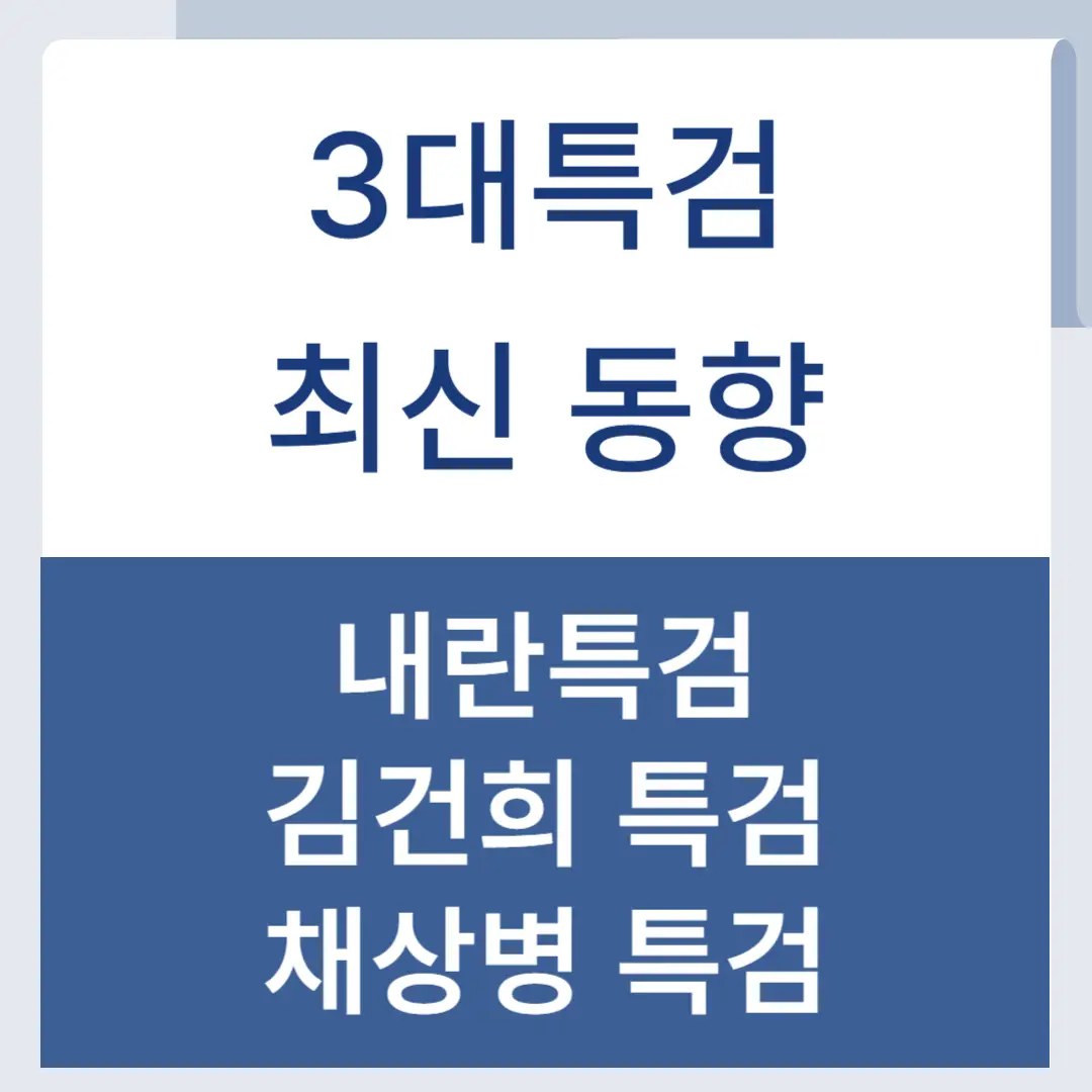 3대특검