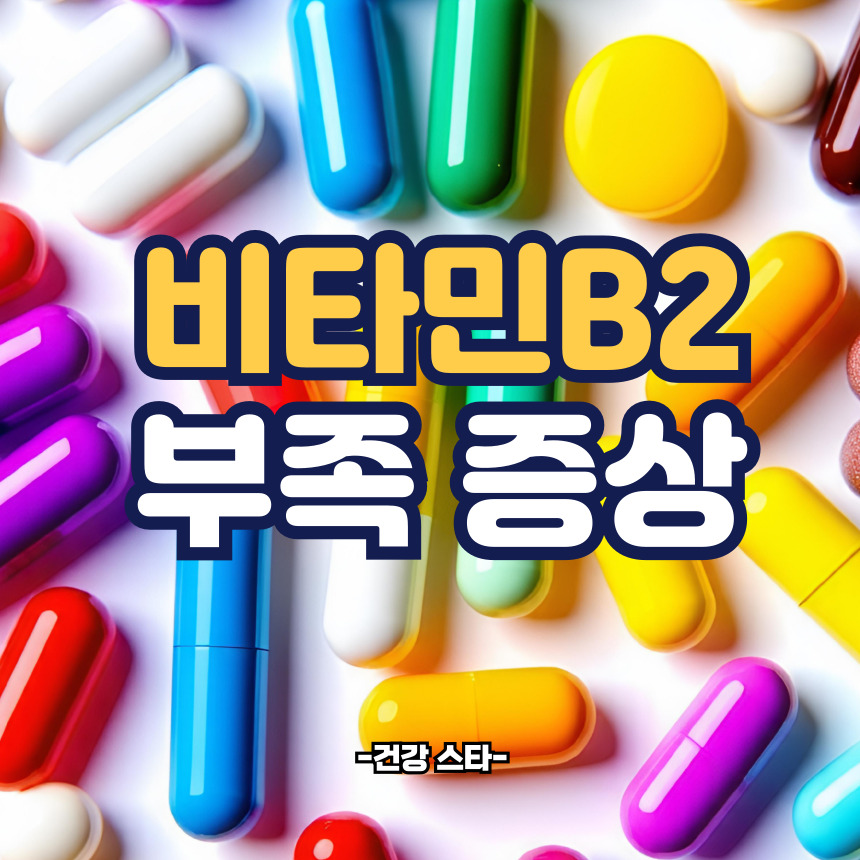 비타민b2 부족증상