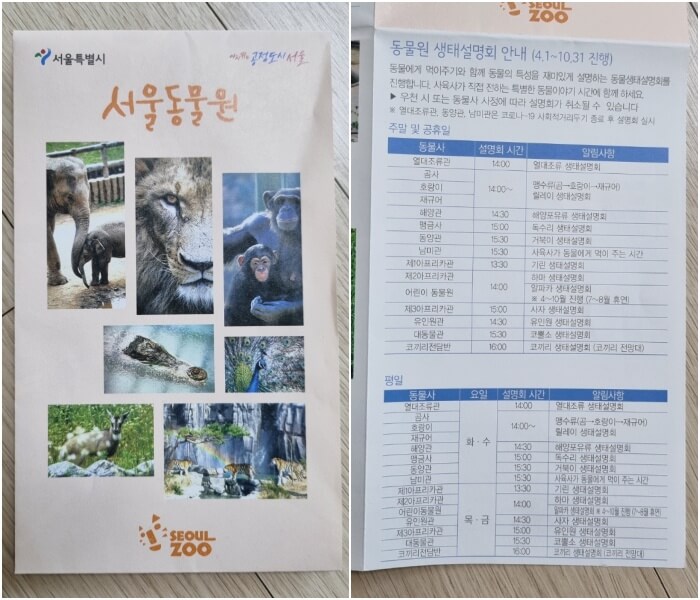 서울동물원 팜플렛