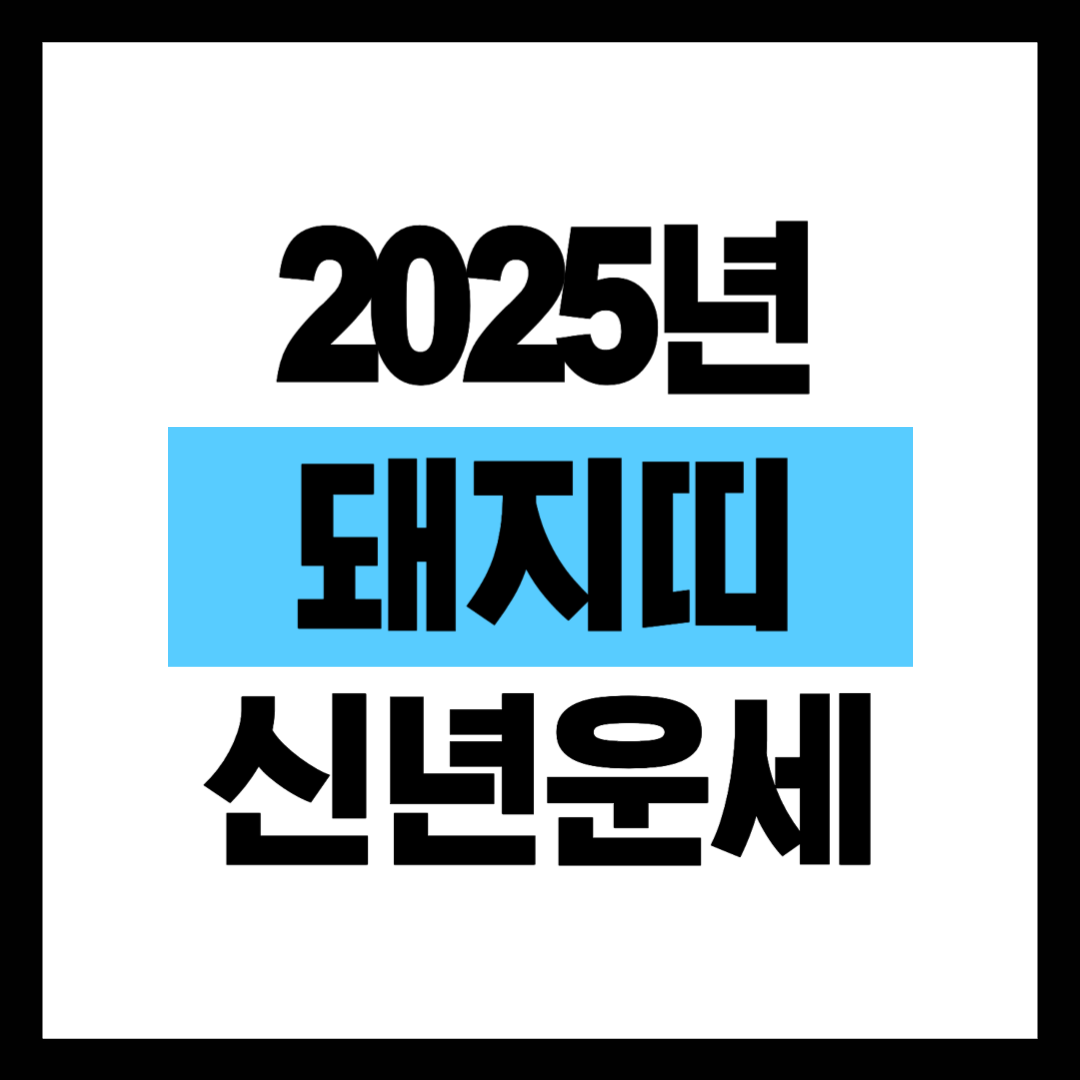 2025년 돼지띠 운세