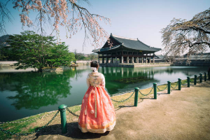 2024년 가을 궁중문화축전/ 무제한관람 /궁패스 예약