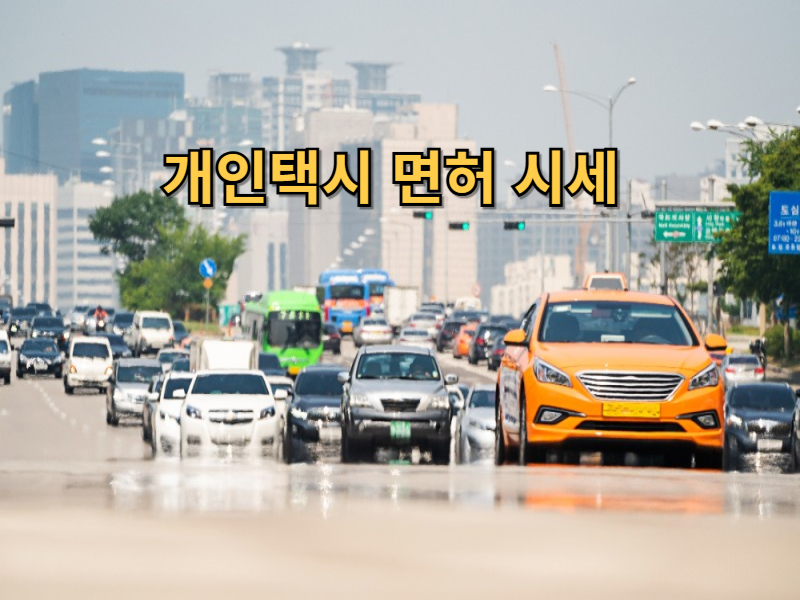 개인택시 면허 시세