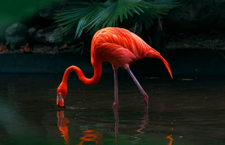 더 강화된 입체감과 HDR 표현