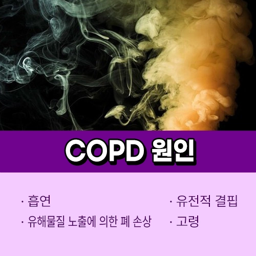 COPD 원인