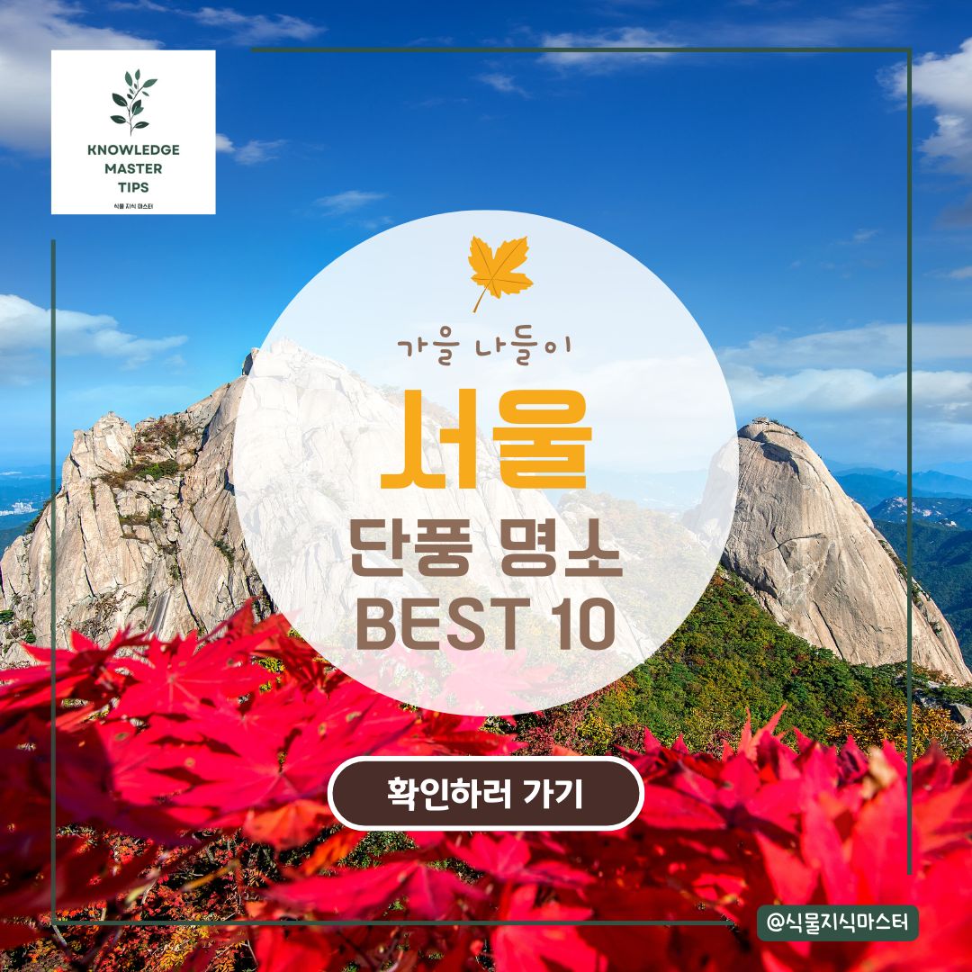 서울 단풍 명소 BEST 10