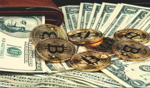 암호화폐 유행어 호들의 모든 것