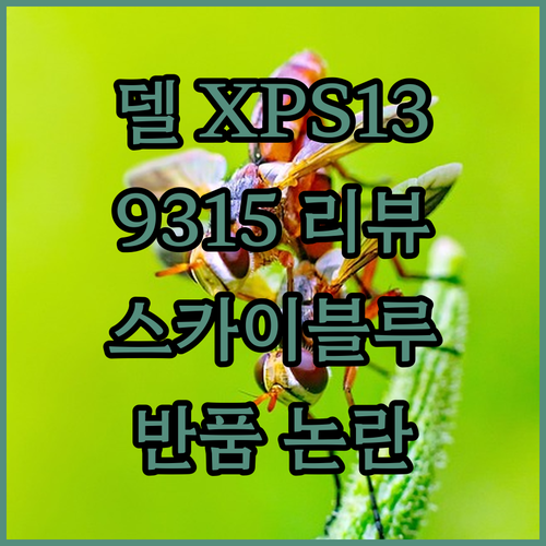 2022 델 XPS 13 9315 스..