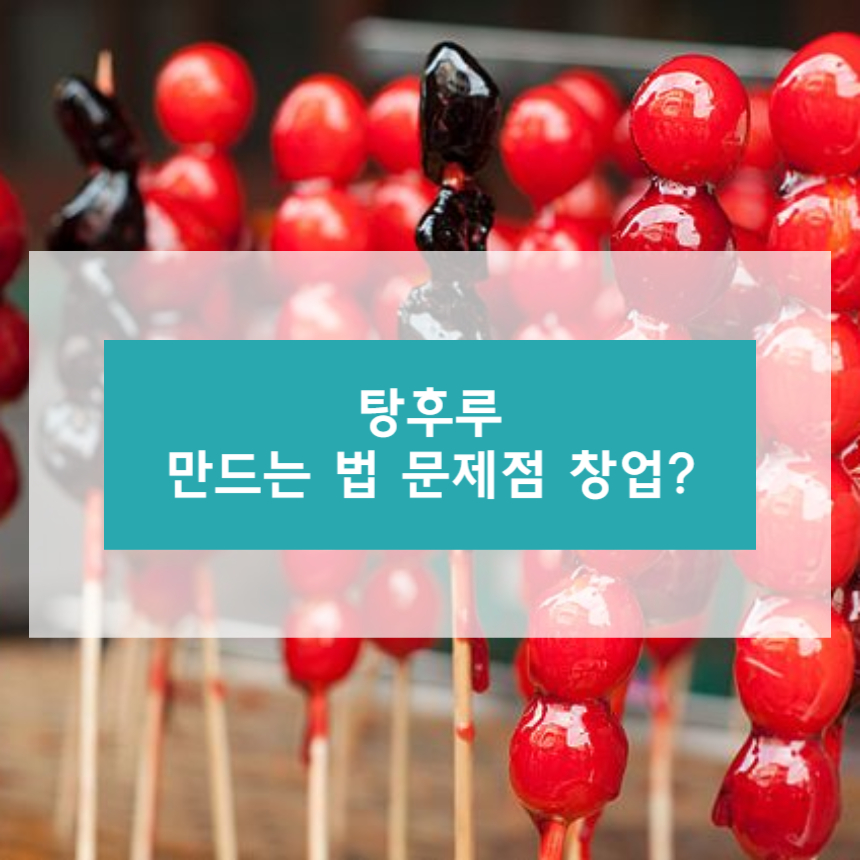 탕후루 만드는 법 문제점 창업비용과 전망에 대하여