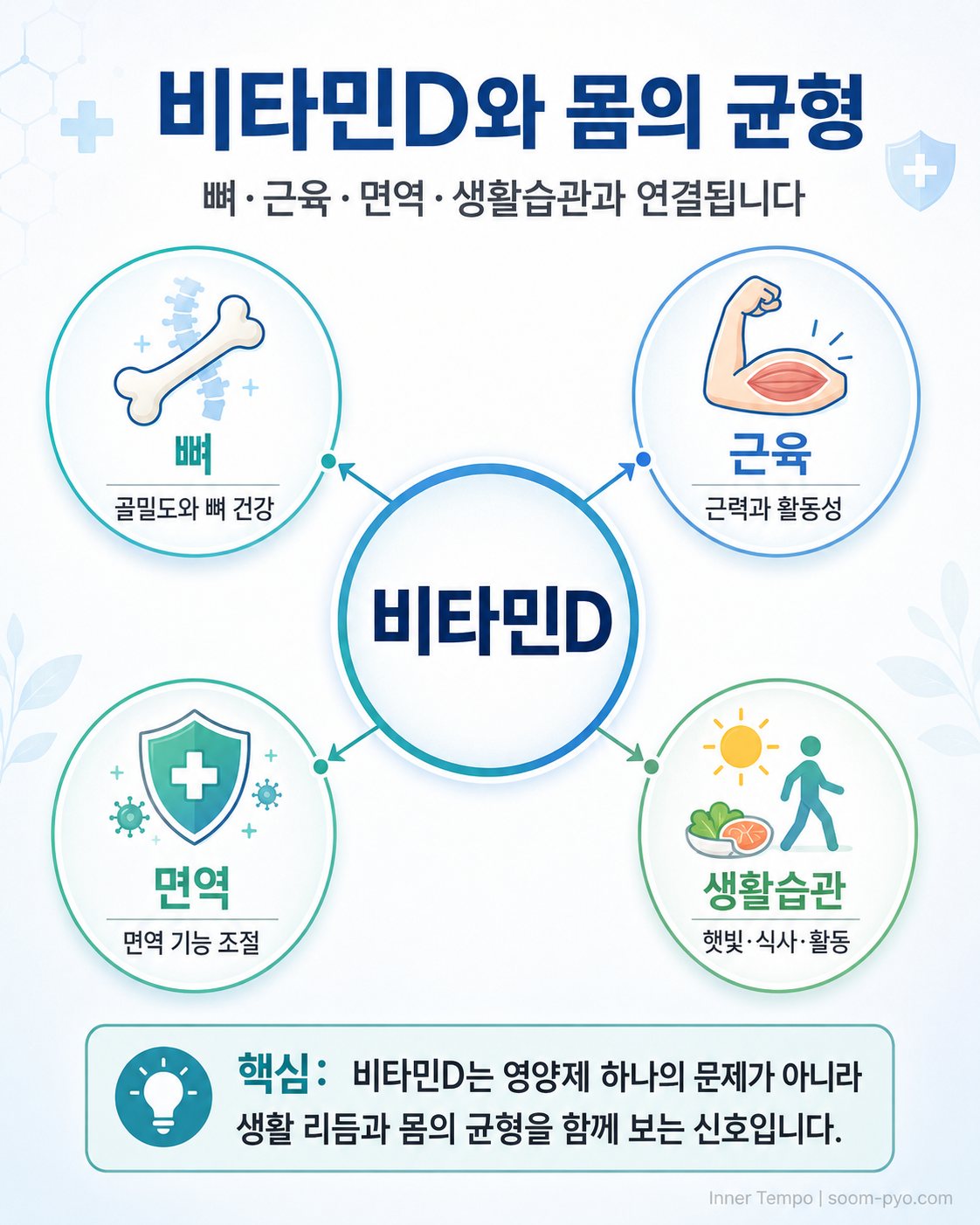 비타민D와 건강의 연결고리