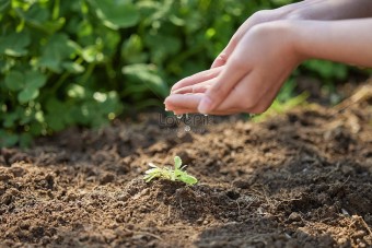 2024년 긴급복지 생계지원금의 지원내용과 신청방법 알아보기