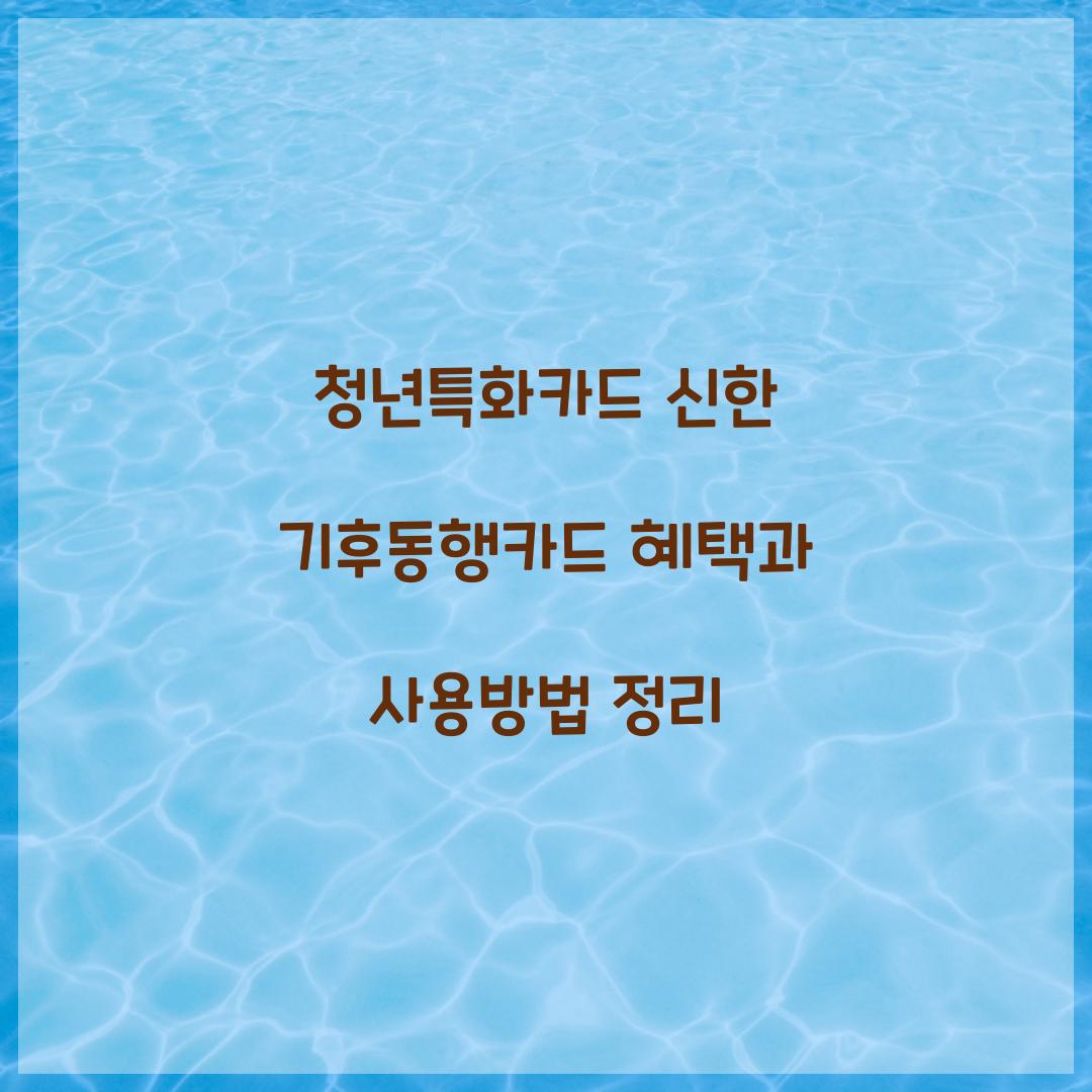 청년특화카드 신한 기후동행카드