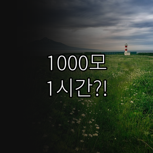 비절개 모발이식 수술 시간 모낭 10..