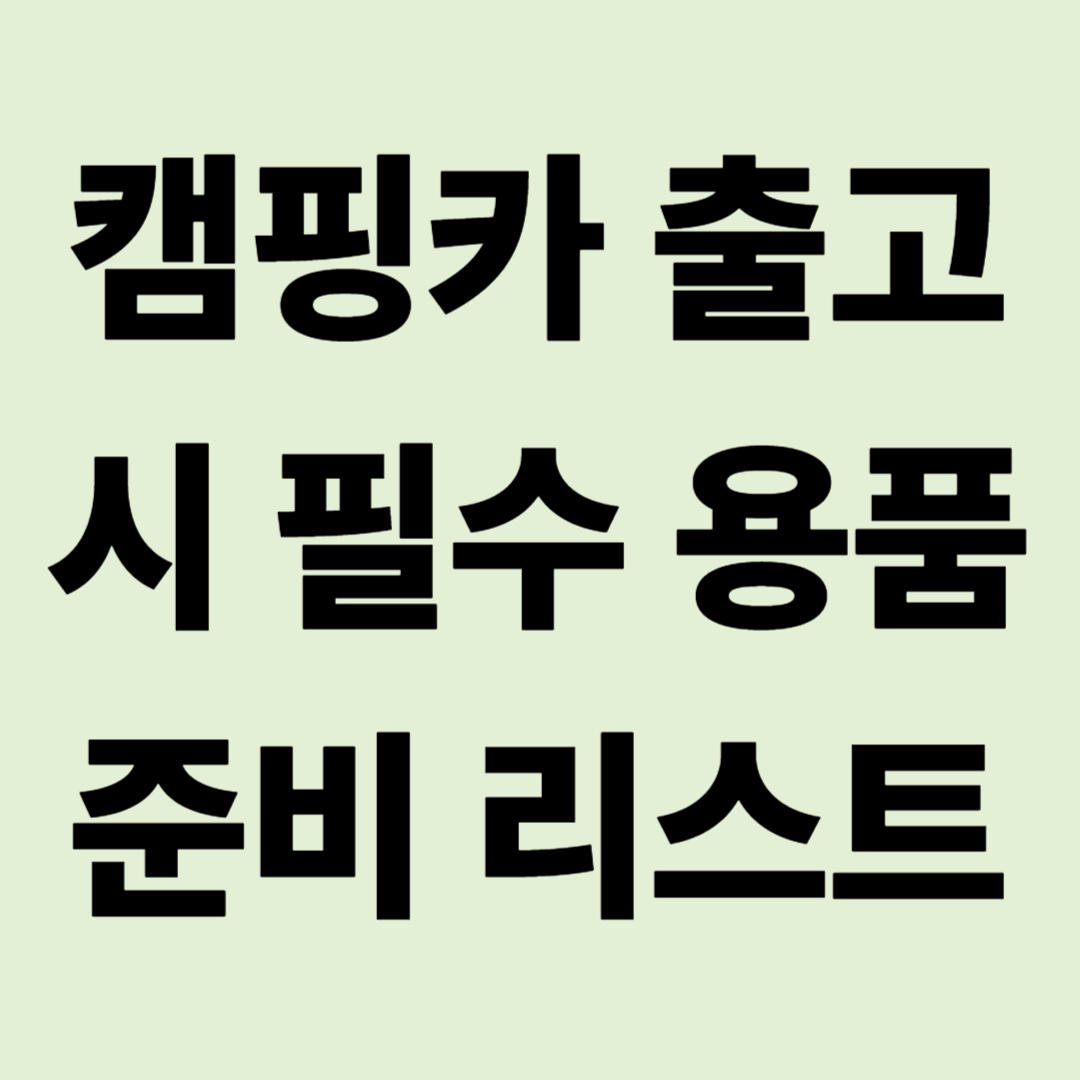 캠핑카 신차 출고 대기 기간 필수 용품 준비 리스트