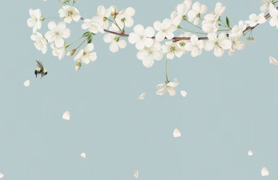 부산 봄꽃 축제 일정 벚꽃 명소 교통편 개화시기