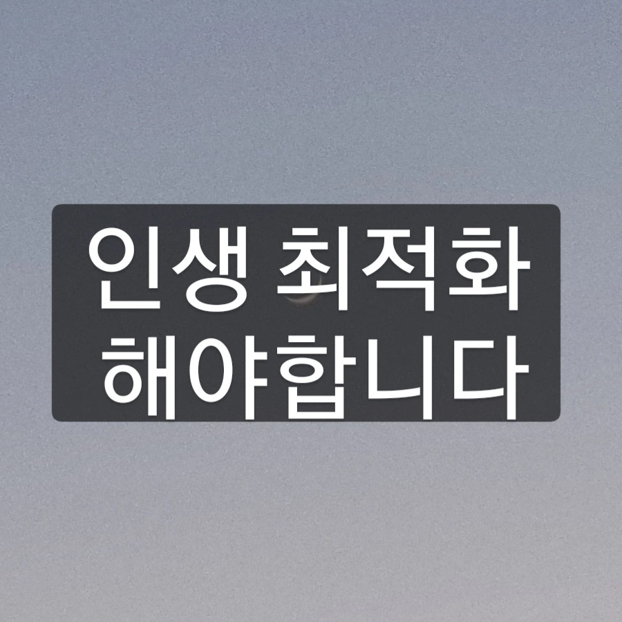 인생최적화-해야합니다