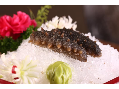 해삼 사진
