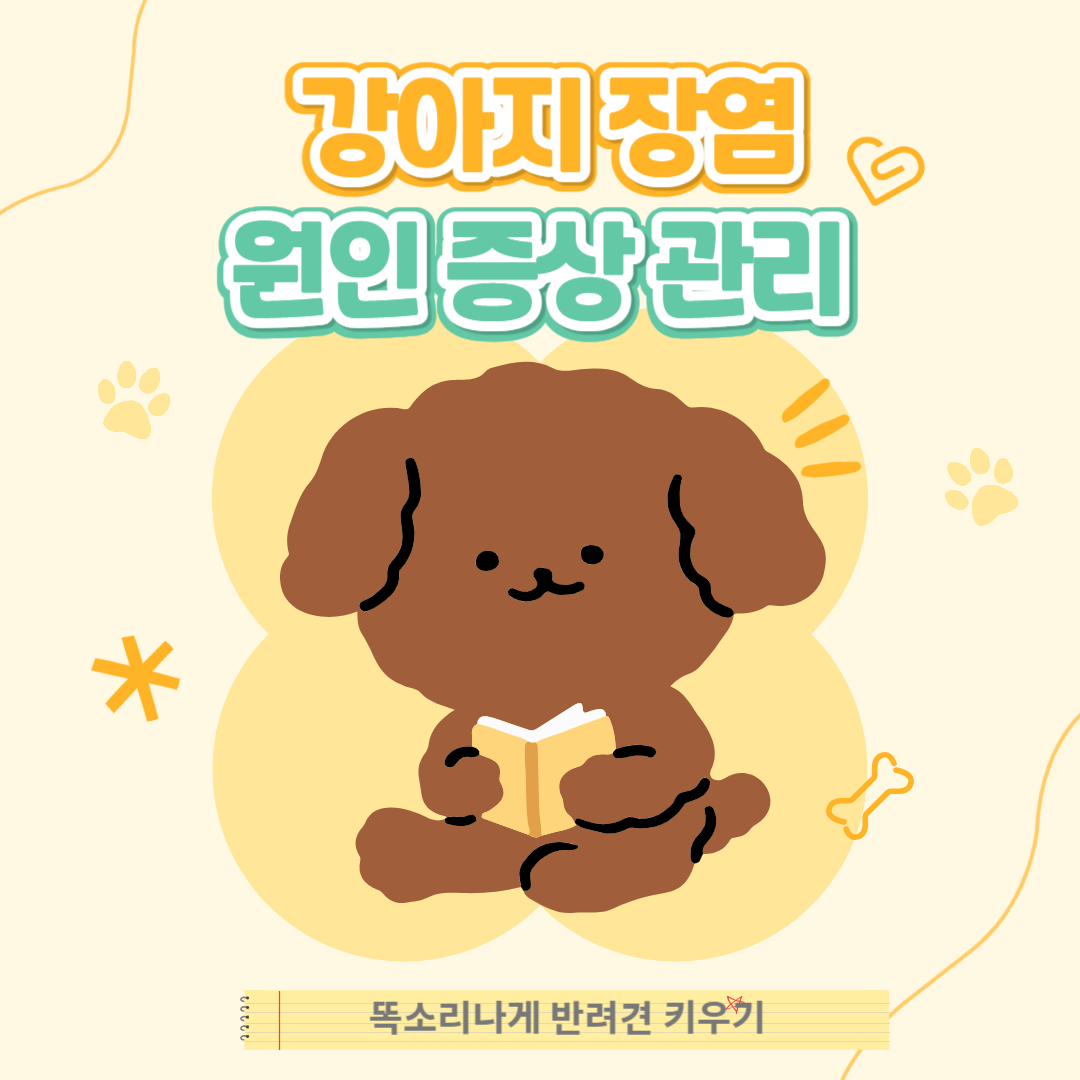 강아지 장염 원인 증상 예방 치료법