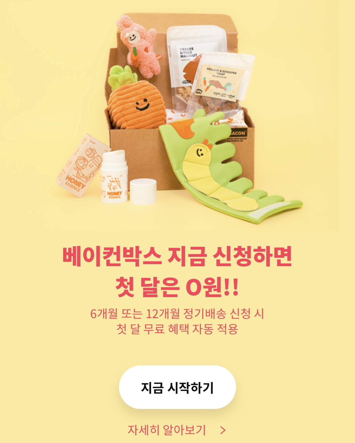 첫달 구독 안내