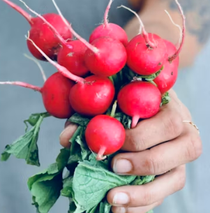 무 효능과 부작용