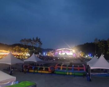 영동포도축제_6