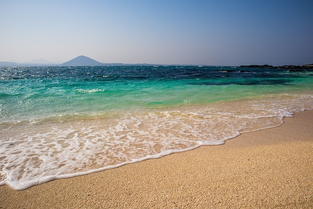 제주도 렌터카 예약
