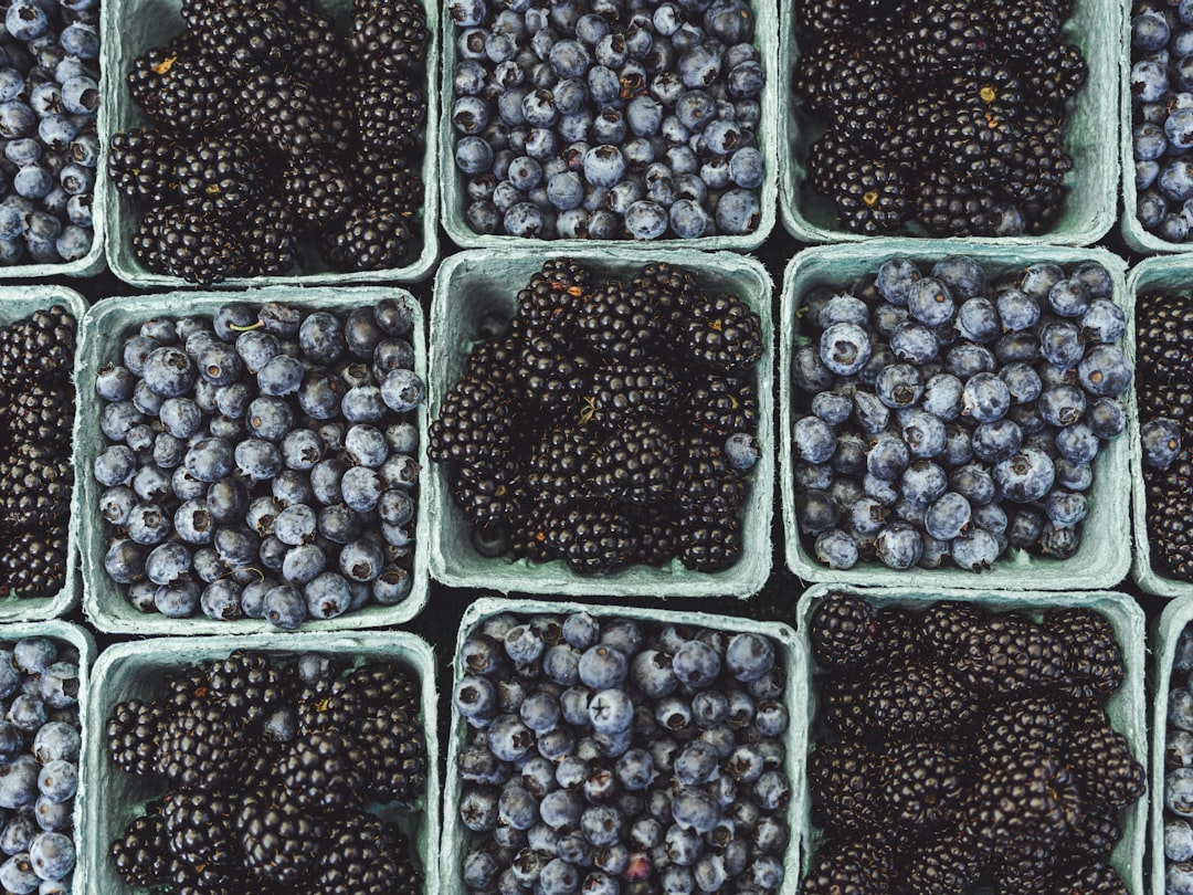 Antioxidant