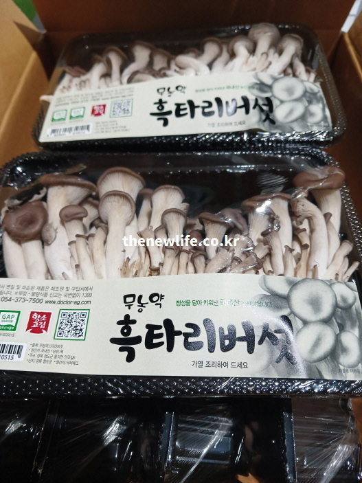 효능을 높이는 건강한 식단을 위해 준비된 고품질 느타리버섯 상품 사진.