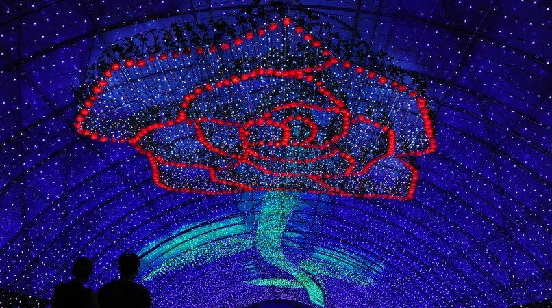 태안 빛축제는 365일 연중무휴로 진행하고 있습니다. 충청남도 최초로 화려하게 조명으로 야간 볼거리를 제공하고 있습니다.