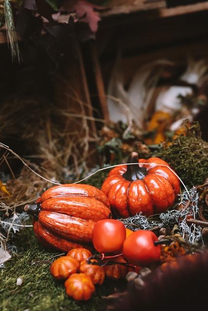 완주 대둔산축제 기본정보&amp;#44; 라인업&amp;#44; 트레킹 신청