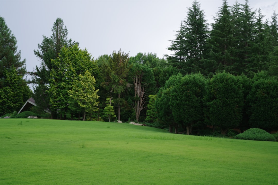 Park Golf