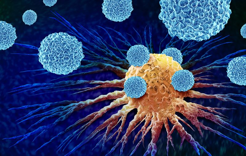 λμΉ΄λ ADR μ£Όκ° μ λ§ 2025: NUC-7738 μμ λ°μ΄ν°μ ν¬μ κΈ°ν λΆμ