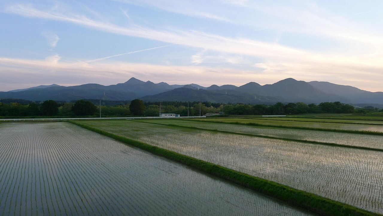 강원 인제 한 달 살기