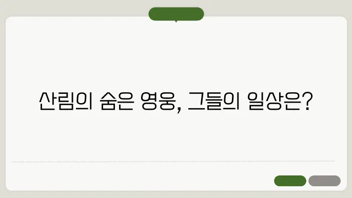 산림산업기사가 하는 일