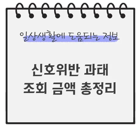 신호위반-과태료